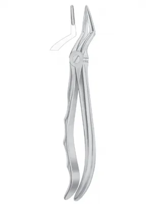 Fig. 51L upper roots 